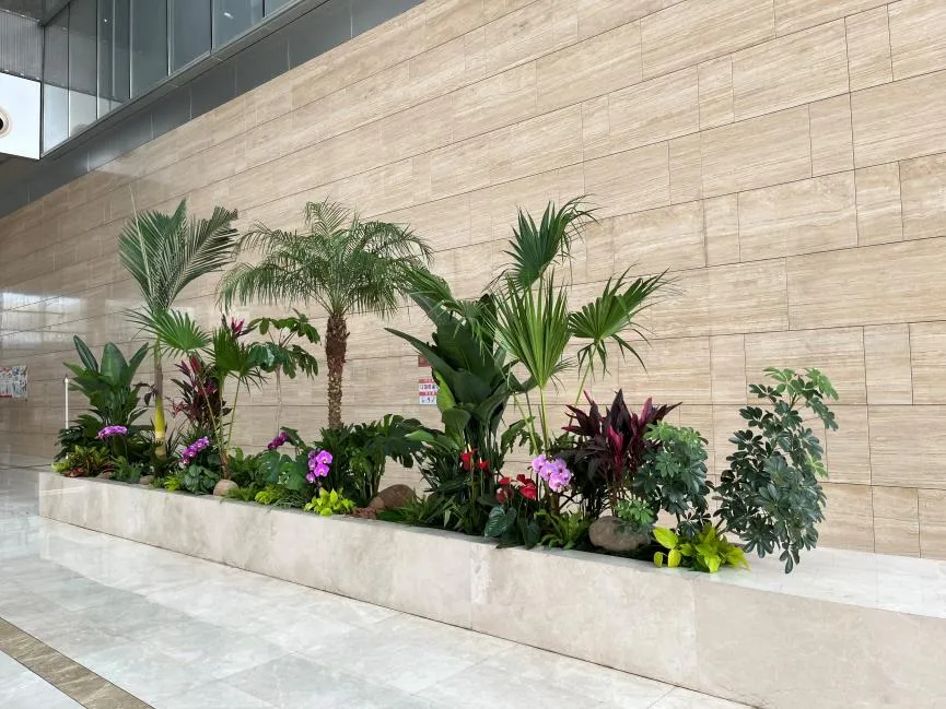 花卉出租就选宁波余姚，优质服务让你满意而归！